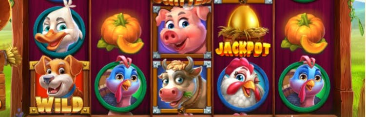 play teen patti online for betting