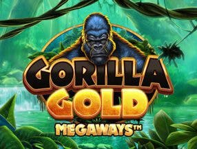 jogo stop online