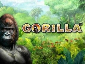 ver tv globo online gratis rj