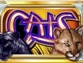 plataforma nova do jogo do tigre