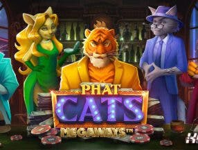 bet9ja/computer version